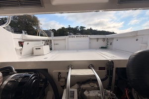 Miss Madison 35ft Cabo Yacht For Sale