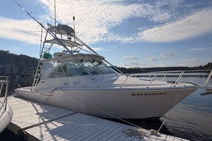 Miss Madison 35ft Cabo Yacht For Sale