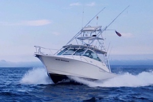 Miss Madison 35ft Cabo Yacht For Sale