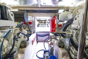 Girassic Park 52ft Sea Ray Yacht For Sale
