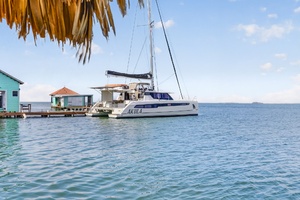 Akula 50ft Leopard Yacht For Sale