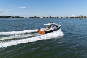 Black Dog 29ft Dyer Yacht For Sale