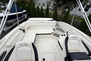 No Name 21ft Sea Ray Yacht For Sale