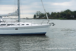 Water Colors 38ft Catalina Yacht For Sale