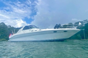Sea Ray