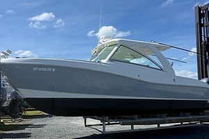 32' World Cat 2019