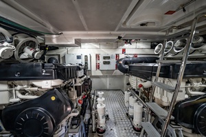 IN SITE