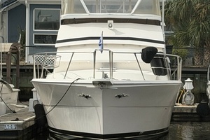 Bizz Sea Livn 44ft Viking Yacht For Sale