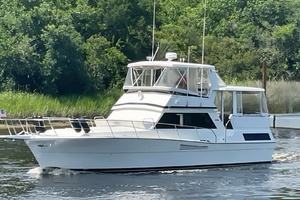 Bizz Sea Livn 44ft Viking Yacht For Sale