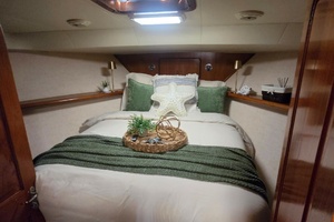 Bizz Sea Livn 44ft Viking Yacht For Sale
