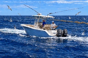 26ft Sea Fox Yacht For Sale