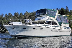 49' Viking 1977