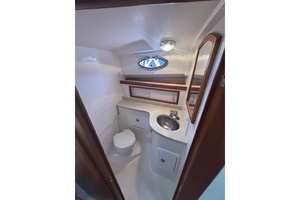 True Companion 30ft Back Cove Yacht For Sale