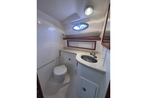 True Companion 30ft Back Cove Yacht For Sale