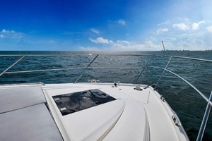 50FT (15M) PRINCESS