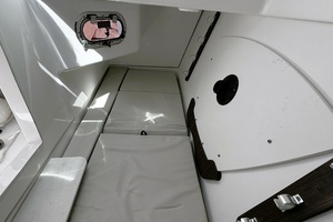 34FT (10.46M) PURSUIT