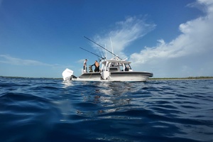 M/Y VIVIERAE II