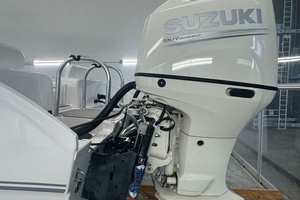 25ft Twin Vee Yacht For Sale