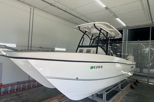 25ft Twin Vee Yacht For Sale