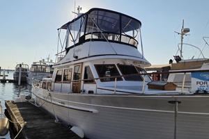 43ft Albin Yacht For Sale