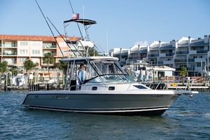 Island Girl 30ft Luhrs Yacht For Sale