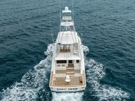 GOIN DEEP 70ft Bertram Yacht For Sale