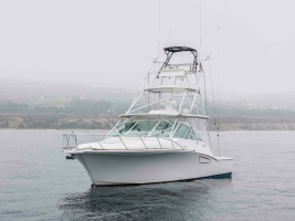 SHOW TIME 38ft Cabo Yacht For Sale