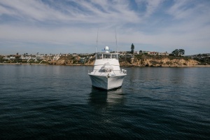 SPECTACULAR BID 56ft Viking Yacht For Sale