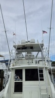 Wild Life 45ft Viking Yacht For Sale