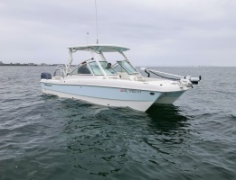 23ft World Cat Yacht For Sale