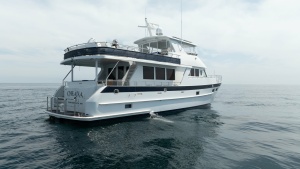 Alaskan 70 OHANA - Exterior