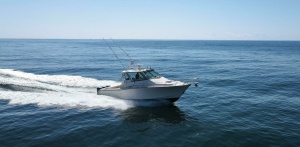 2016 Grady-White 370 Express thumbnail 31