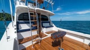Spacious Teak Cockpit with Ladder
