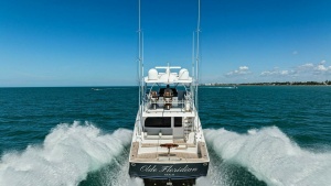 2023 Viking 54 Convertible 