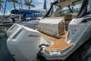 Pace Yourself 32ft Sea Ray Yacht For Sale