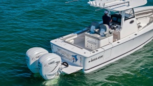 Filthy Animal 31ft Regulator Yacht For Sale