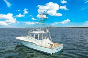 2006 Buddy Davis 48 Express thumbnail 75