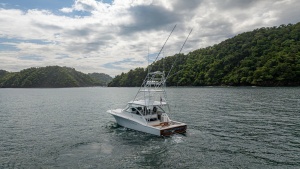 Aerial Stern View at Sea