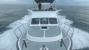 BEAR FLAG 3 0 35ft Donelle Yacht For Sale