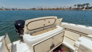SWIFT SERENITY 38ft Fountain Yacht For Sale