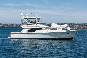 2019 Mikelson 50 Sportfisher thumbnail 58