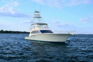 Photo 6226287 for 2001 Donzi 73 Sport Yacht  2001 Donzi 73' Sport Yacht