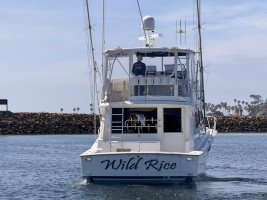 WILD RICE 50ft Viking Yacht For Sale