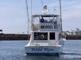 1994 Viking 50 Convertible thumbnail 50