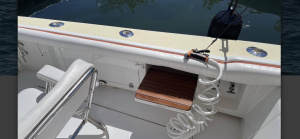 Double Diamond 31ft Bertram Yacht For Sale
