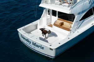 Dorothy Marie 48ft Viking Yacht For Sale