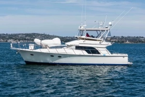 2019 Mikelson 50 Sportfisher thumbnail 55