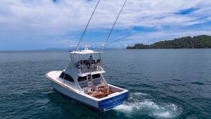 2023 Viking 46 Billfish
