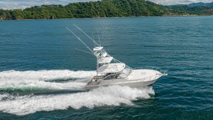 Aerial View of Cabo 40 Express