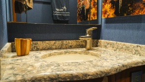 Luxurious Vanity in Guest Head